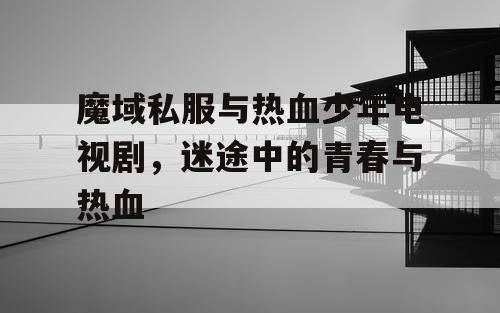 魔域私服与热血少年电视剧，迷途中的青春与热血