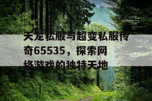 天龙私服与超变私服传奇65535，探索网络游戏的独特天地