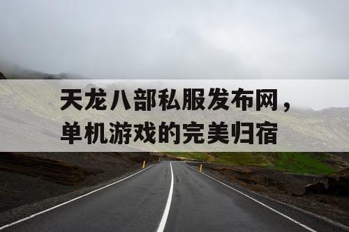 天龙八部私服发布网，单机游戏的完美归宿