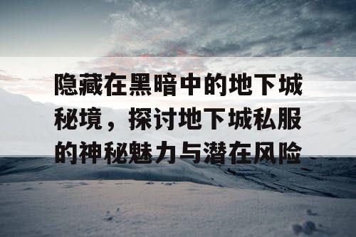 隐藏在黑暗中的地下城秘境,探讨地下城私服的神秘魅力与潜在风险 隐藏在黑暗中的地下城秘境,探讨地下城私服的神秘魅力与潜在风险