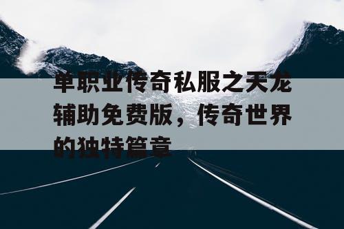 单职业传奇私服之天龙辅助免费版，传奇世界的独特篇章