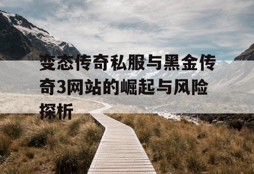 变态传奇私服与黑金传奇3网站的崛起与风险探析 变态传奇私服与黑金传奇3网站的崛起与风险探析