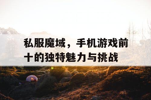 私服魔域,手机游戏前十的独特魅力与挑战 私服魔域,手机游戏前十的独特魅力与挑战