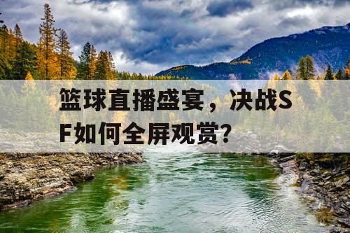 篮球直播盛宴，决战SF如何全屏观赏？