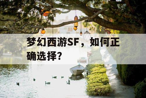 梦幻西游SF,如何正确选择? 梦幻西游SF,如何正确选择?