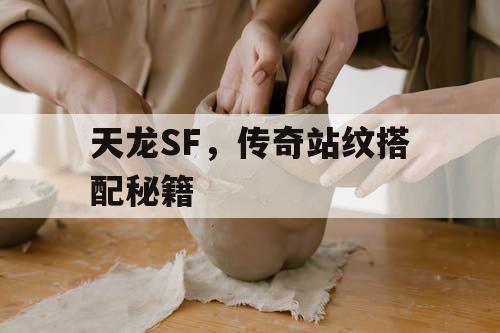 天龙SF，传奇站纹搭配秘籍