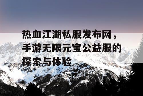 热血江湖私服发布网，手游无限元宝公益服的探索与体验