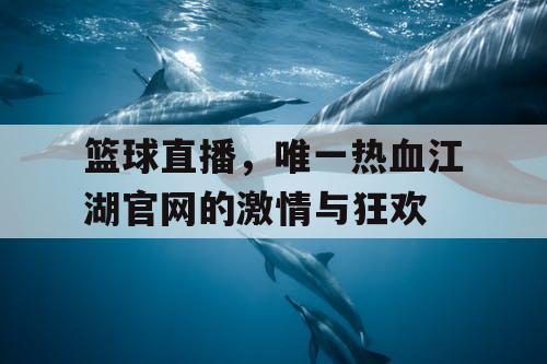 篮球直播,唯一热血江湖官网的激情与狂欢 篮球直播,唯一热血江湖官网的激情与狂欢