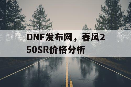 DNF发布网,春风250SR价格分析 DNF发布网,春风250SR价格分析