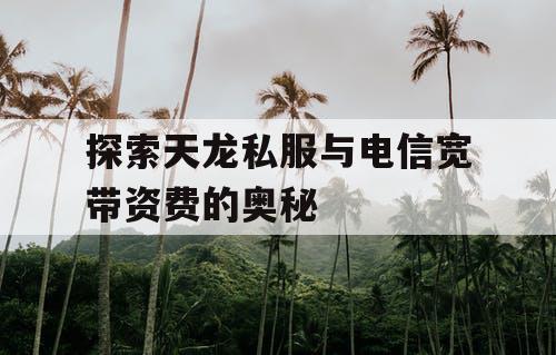 探索天龙私服与电信宽带资费的奥秘