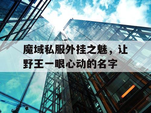 魔域私服外挂之魅,让野王一眼心动的名字 魔域私服外挂之魅,让野王一眼心动的名字