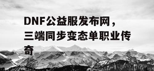 DNF公益服发布网，三端同步变态单职业传奇