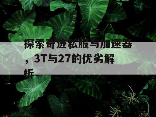 探索奇迹私服与加速器,3T与27的优劣解析 探索奇迹私服与加速器,3T与27的优劣解析