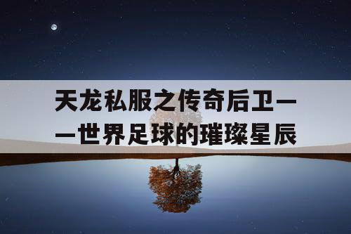 天龙私服之传奇后卫——世界足球的璀璨星辰