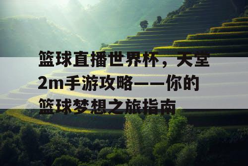 篮球直播世界杯,天堂2m手游攻略——你的篮球梦想之旅指南 篮球直播世界杯,天堂2m手游攻略——你的篮球梦想之旅指南