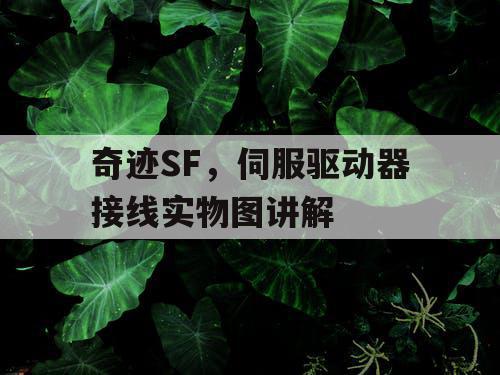 奇迹SF,伺服驱动器接线实物图讲解 奇迹SF,伺服驱动器接线实物图讲解