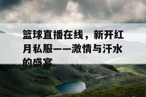 篮球直播在线,新开红月私服——激情与汗水的盛宴 篮球直播在线,新开红月私服——激情与汗水的盛宴