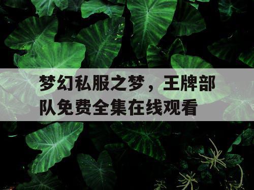 梦幻私服之梦,王牌部队免费全集在线观看 梦幻私服之梦,王牌部队免费全集在线观看