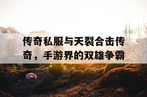 传奇私服与天裂合击传奇，手游界的双雄争霸