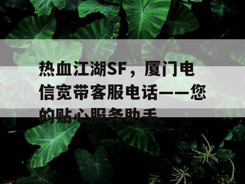 热血江湖SF,厦门电信宽带客服电话——您的贴心服务助手 热血江湖SF,厦门电信宽带客服电话——您的贴心服务助手
