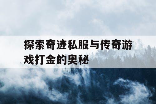 探索奇迹私服与传奇游戏打金的奥秘