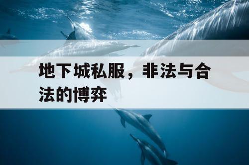 地下城私服，非法与合法的博弈