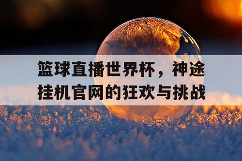 篮球直播世界杯，神途挂机官网的狂欢与挑战