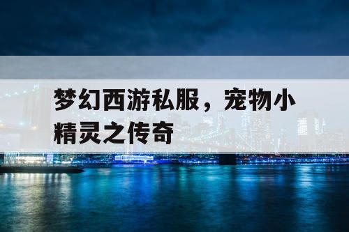 梦幻西游私服，宠物小精灵之传奇