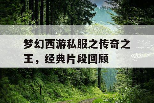 梦幻西游私服之传奇之王，经典片段回顾