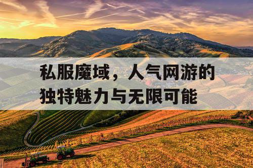 私服魔域，人气网游的独特魅力与无限可能
