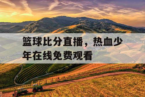 篮球比分直播，热血少年在线免费观看