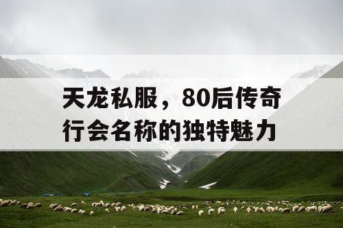 天龙私服，80后传奇行会名称的独特魅力