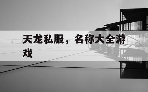 天龙私服，名称大全游戏