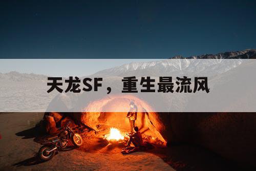 天龙SF,重生最流风 天龙SF,重生最流风