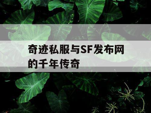 奇迹私服与SF发布网的千年传奇