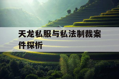 天龙私服与私法制裁案件探析 天龙私服与私法制裁案件探析