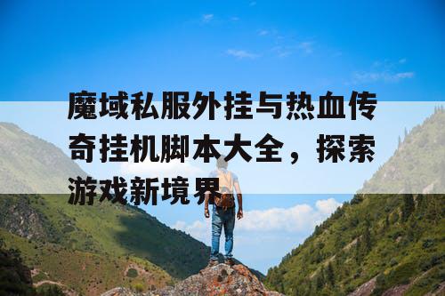 魔域私服外挂与热血传奇挂机脚本大全，探索游戏新境界