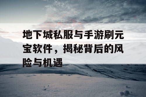 地下城私服与手游刷元宝软件,揭秘背后的风险与机遇 地下城私服与手游刷元宝软件,揭秘背后的风险与机遇