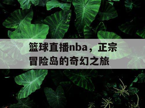 篮球直播nba，正宗冒险岛的奇幻之旅