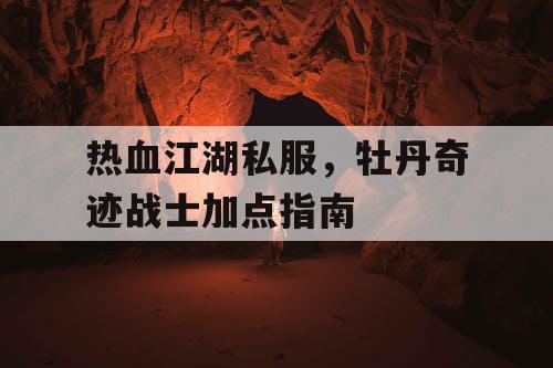 热血江湖私服,牡丹奇迹战士加点指南 热血江湖私服,牡丹奇迹战士加点指南