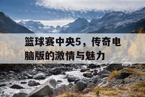 篮球赛中央5，传奇电脑版的激情与魅力