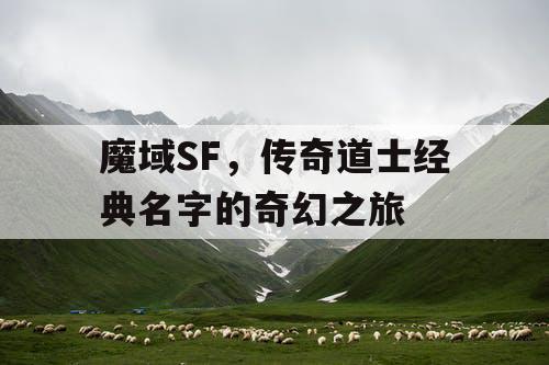 魔域SF,传奇道士经典名字的奇幻之旅 魔域SF,传奇道士经典名字的奇幻之旅