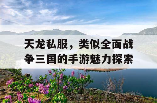 天龙私服，类似全面战争三国的手游魅力探索