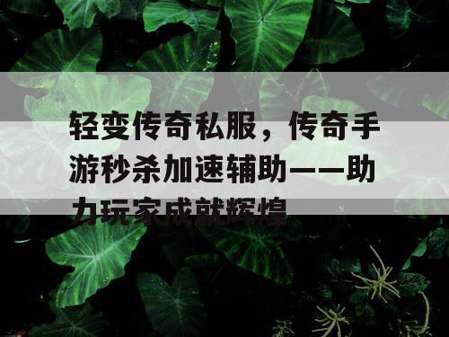 轻变传奇私服，传奇手游秒杀加速辅助——助力玩家成就辉煌