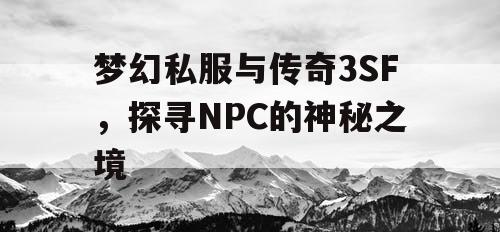 梦幻私服与传奇3SF，探寻NPC的神秘之境
