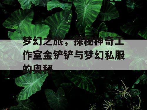 梦幻之旅,探秘神奇工作室金铲铲与梦幻私服的奥秘 梦幻之旅,探秘神奇工作室金铲铲与梦幻私服的奥秘