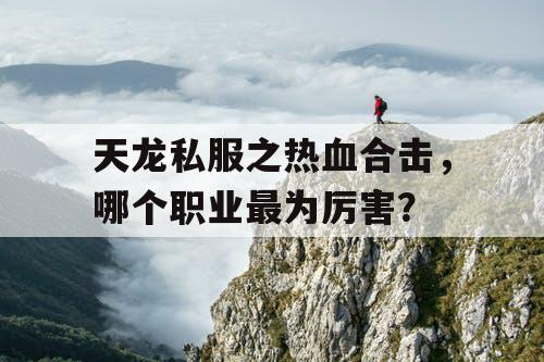 天龙私服之热血合击,哪个职业最为厉害? 天龙私服之热血合击,哪个职业最为厉害?