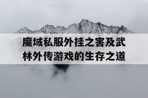 魔域私服外挂之害及武林外传游戏的生存之道
