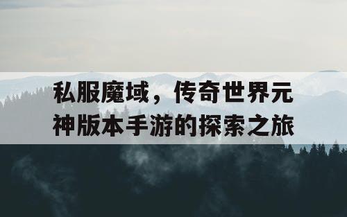 私服魔域,传奇世界元神版本手游的探索之旅 私服魔域,传奇世界元神版本手游的探索之旅