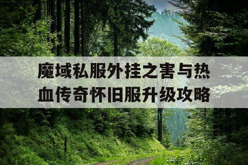 魔域私服外挂之害与热血传奇怀旧服升级攻略